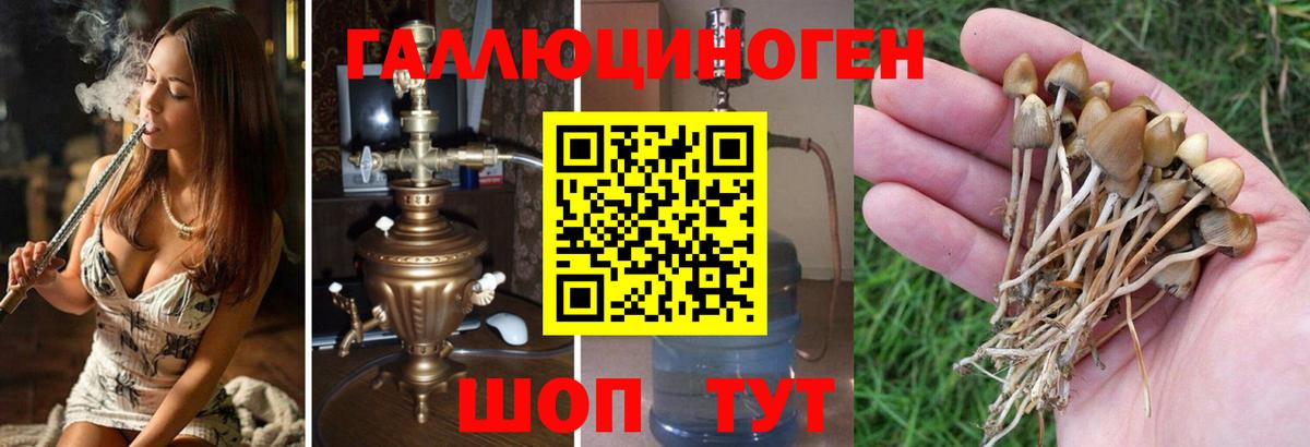 Мегион  Псилоцибиновые грибы Psilocybe  Вход с VPN  Галлюциногенные грибы GOLDEN TEACHER 